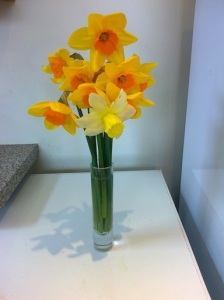 Daffodils at home