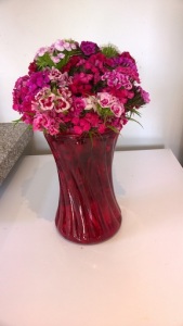 Sweet Williams in vase