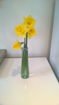 Vase daffodils