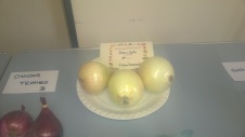 prizewinning-onions
