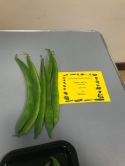 2nd prize 5 beans