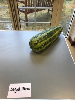Largest marrow entry