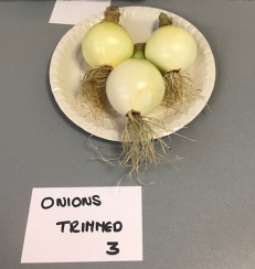 Onion entry
